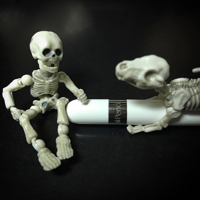 ️ソロソロ張替えＤＥＡＴＨ☠️保護フィルム悩むな〜🧐 #applepencil #ipadpro #apple #poseskeleton #skeleton #skeletondog #ポーズスケルトン #リーメント 