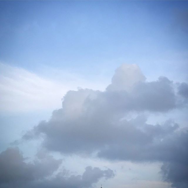 ️️️ #sky #clouds #shinjuku #shinjukugyoen  #tokyo #新宿御苑 #空 #雲 #ソラ #イマソラ 