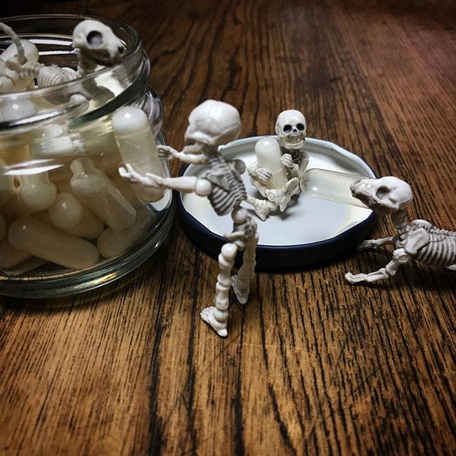 ☠️ #poseskeleton #skeleton #skeletondog #skeletoncat  #ポーズスケルトン #リーメント 
